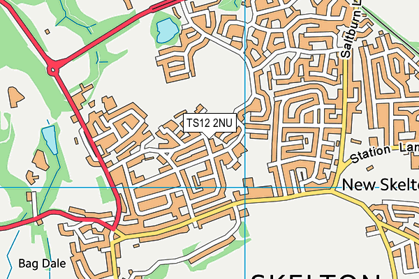 TS12 2NU map - OS VectorMap District (Ordnance Survey)