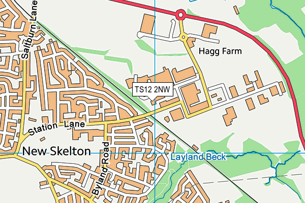 TS12 2NW map - OS VectorMap District (Ordnance Survey)