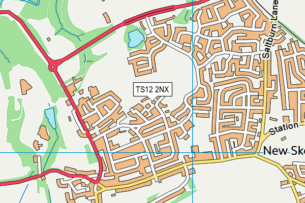 TS12 2NX map - OS VectorMap District (Ordnance Survey)