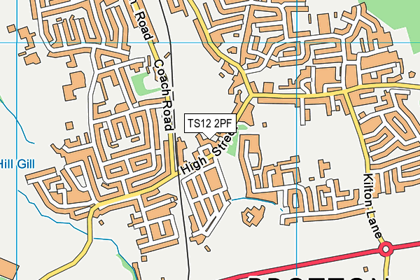 TS12 2PF map - OS VectorMap District (Ordnance Survey)