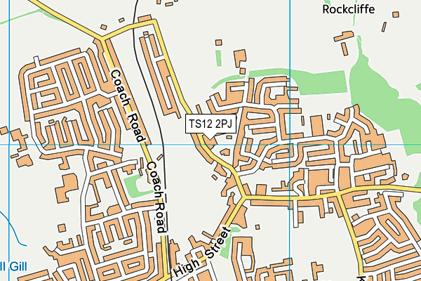 TS12 2PJ map - OS VectorMap District (Ordnance Survey)