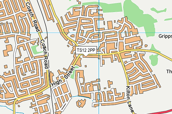 TS12 2PP map - OS VectorMap District (Ordnance Survey)