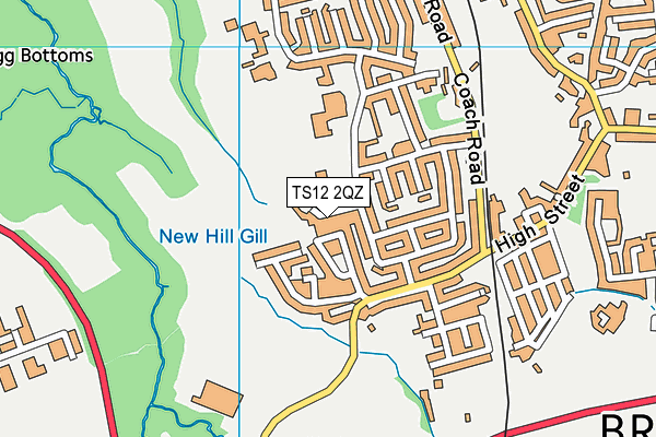 TS12 2QZ map - OS VectorMap District (Ordnance Survey)