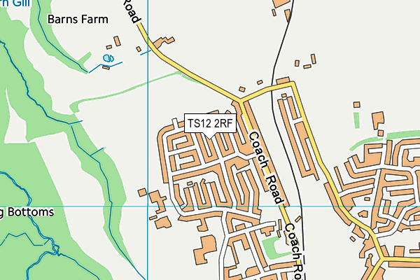 TS12 2RF map - OS VectorMap District (Ordnance Survey)