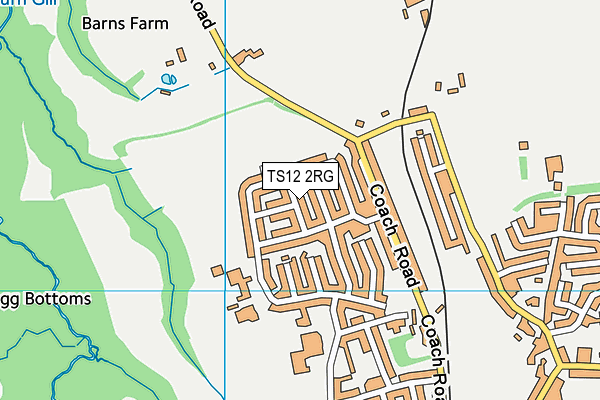 TS12 2RG map - OS VectorMap District (Ordnance Survey)