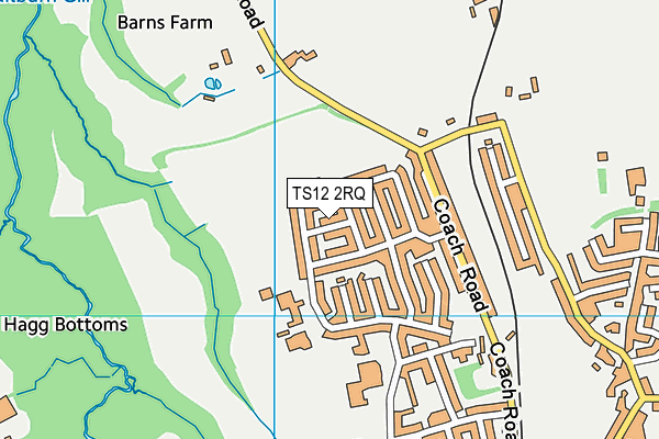 TS12 2RQ map - OS VectorMap District (Ordnance Survey)