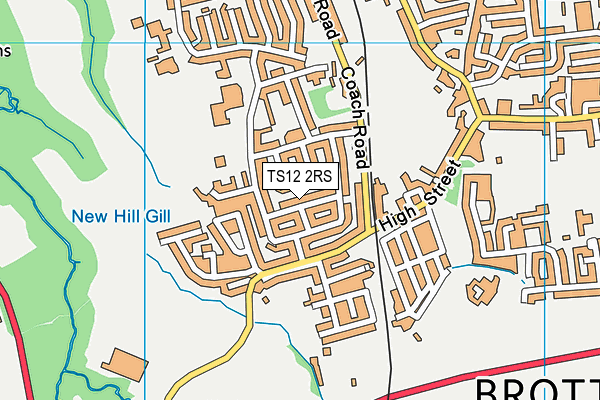 TS12 2RS map - OS VectorMap District (Ordnance Survey)