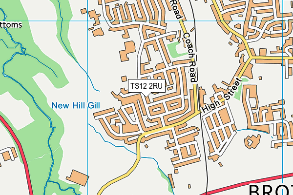 TS12 2RU map - OS VectorMap District (Ordnance Survey)