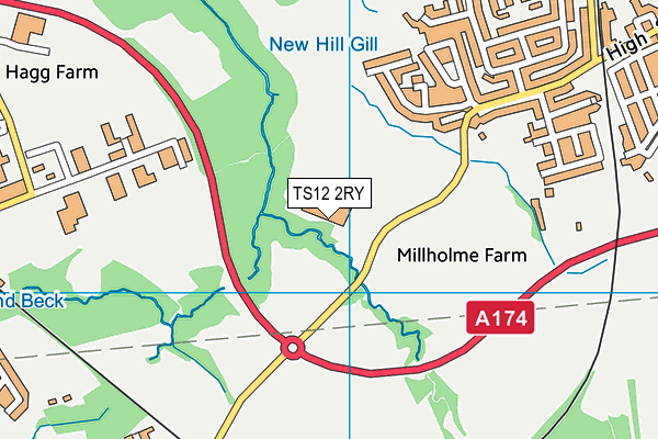 TS12 2RY map - OS VectorMap District (Ordnance Survey)