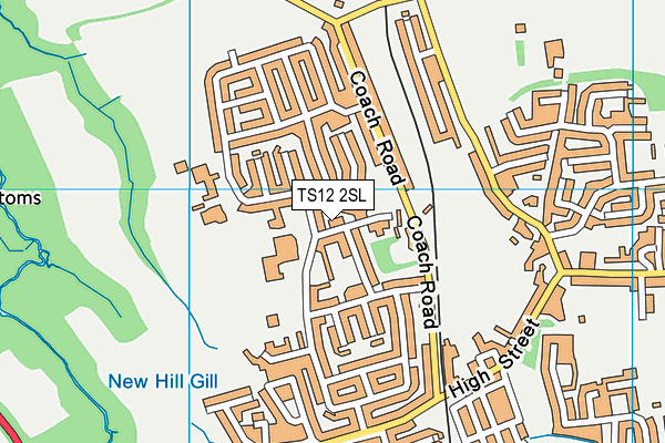 TS12 2SL map - OS VectorMap District (Ordnance Survey)