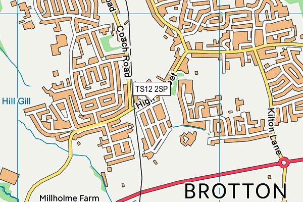 TS12 2SP map - OS VectorMap District (Ordnance Survey)