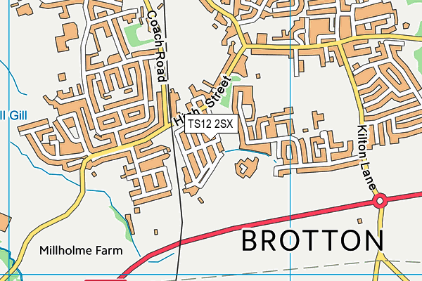 TS12 2SX map - OS VectorMap District (Ordnance Survey)