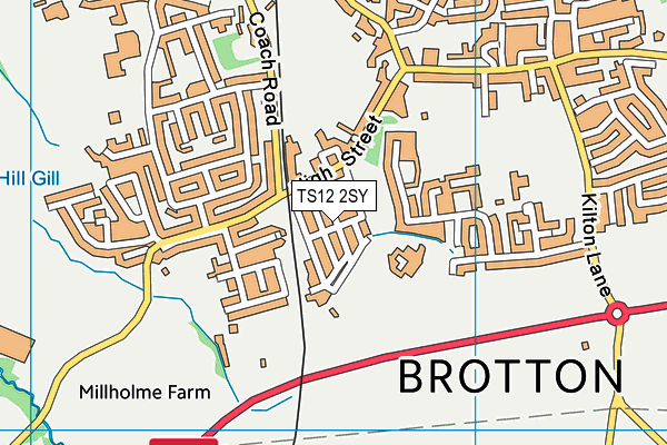 TS12 2SY map - OS VectorMap District (Ordnance Survey)