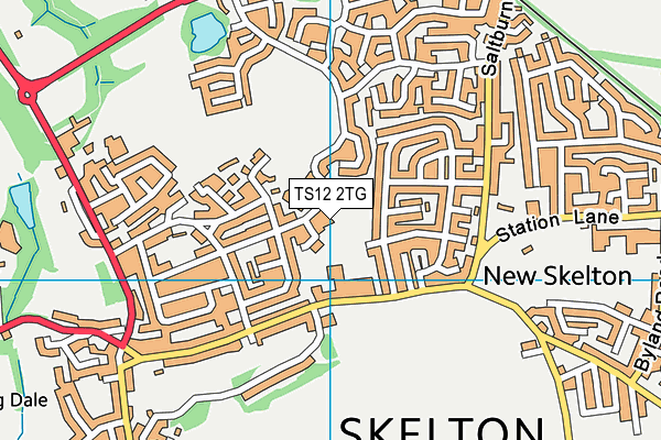 TS12 2TG map - OS VectorMap District (Ordnance Survey)