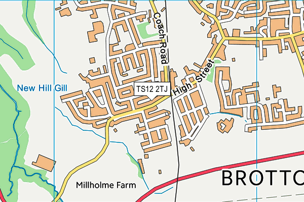 TS12 2TJ map - OS VectorMap District (Ordnance Survey)