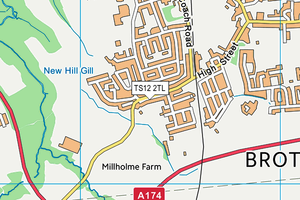 TS12 2TL map - OS VectorMap District (Ordnance Survey)