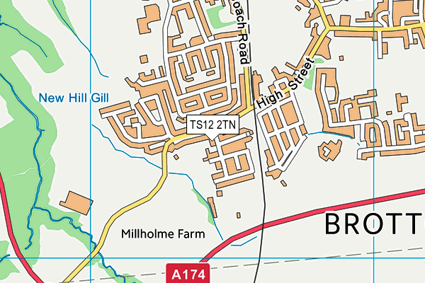 TS12 2TN map - OS VectorMap District (Ordnance Survey)