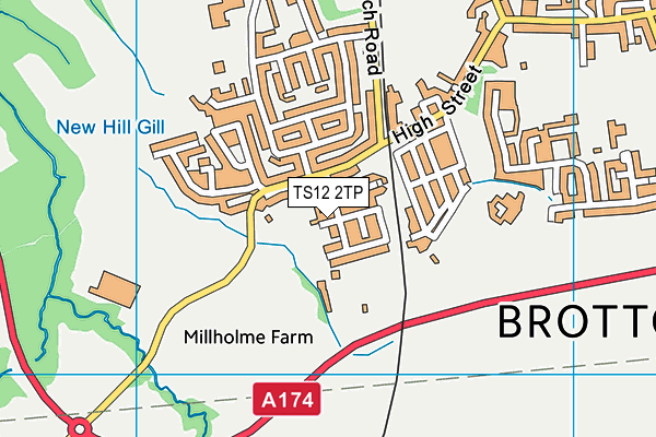 TS12 2TP map - OS VectorMap District (Ordnance Survey)