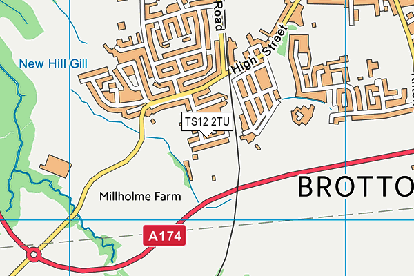 TS12 2TU map - OS VectorMap District (Ordnance Survey)