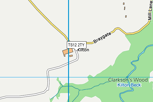 TS12 2TY map - OS VectorMap District (Ordnance Survey)