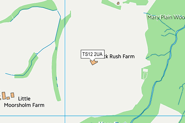 TS12 2UA map - OS VectorMap District (Ordnance Survey)