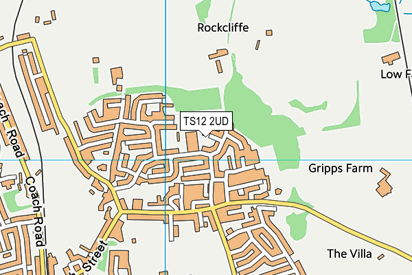 TS12 2UD map - OS VectorMap District (Ordnance Survey)