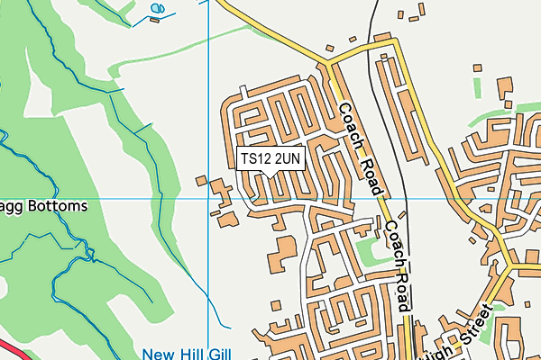 TS12 2UN map - OS VectorMap District (Ordnance Survey)