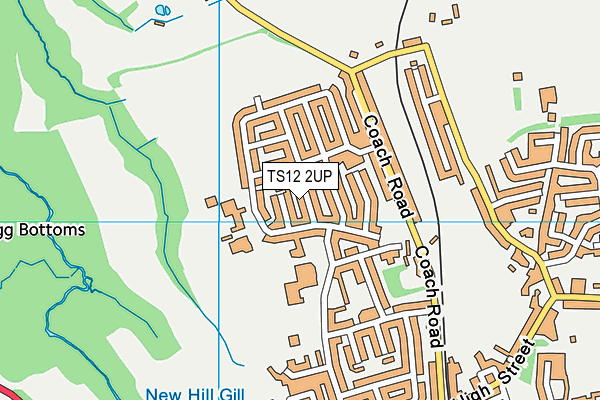 TS12 2UP map - OS VectorMap District (Ordnance Survey)