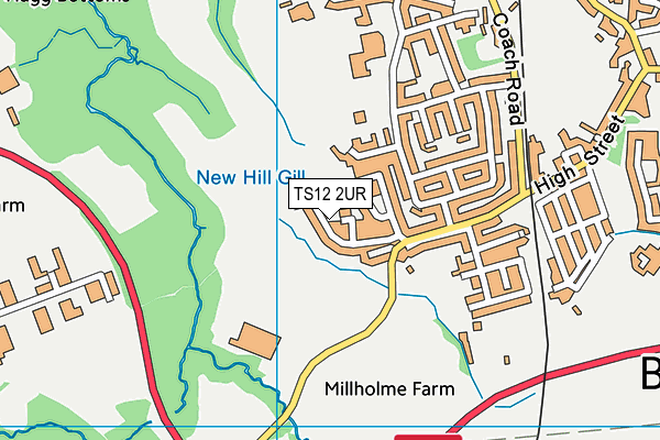 TS12 2UR map - OS VectorMap District (Ordnance Survey)