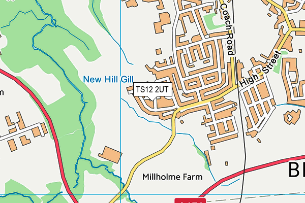 TS12 2UT map - OS VectorMap District (Ordnance Survey)