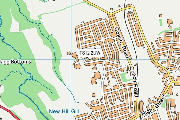 St Peters Primary School map (TS12 2UW) - OS VectorMap District (Ordnance Survey)