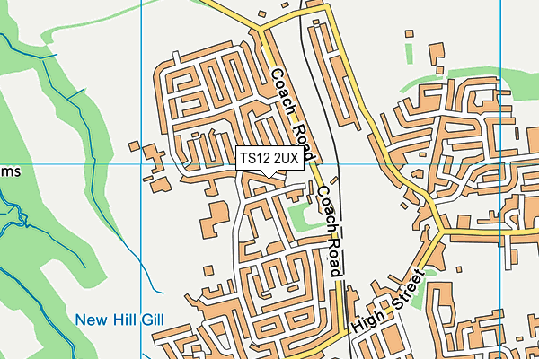 TS12 2UX map - OS VectorMap District (Ordnance Survey)