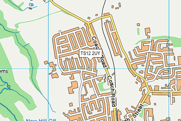 TS12 2UY map - OS VectorMap District (Ordnance Survey)