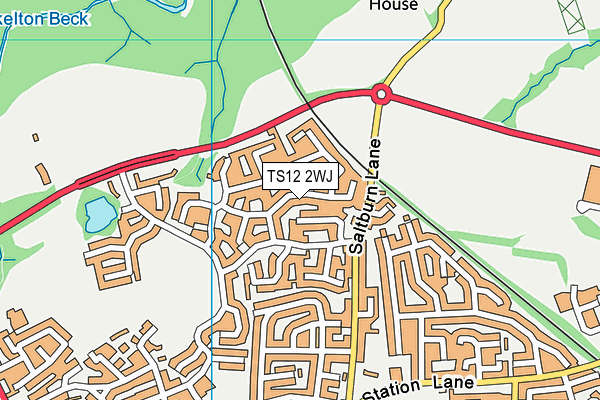 TS12 2WJ map - OS VectorMap District (Ordnance Survey)