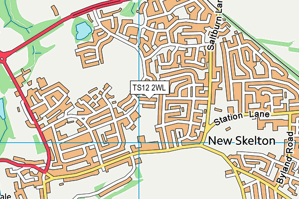 TS12 2WL map - OS VectorMap District (Ordnance Survey)