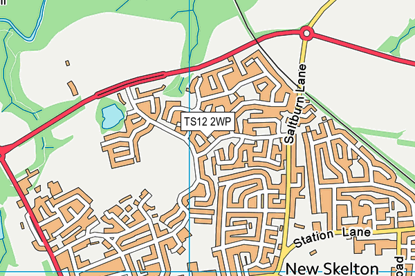 TS12 2WP map - OS VectorMap District (Ordnance Survey)