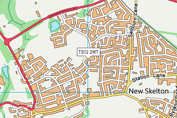 TS12 2WT map - OS VectorMap District (Ordnance Survey)