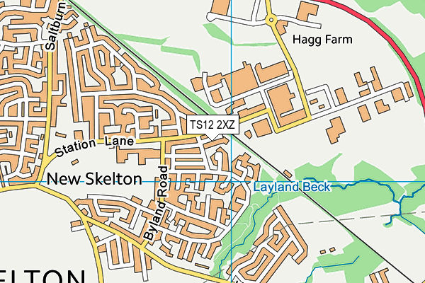 TS12 2XZ map - OS VectorMap District (Ordnance Survey)