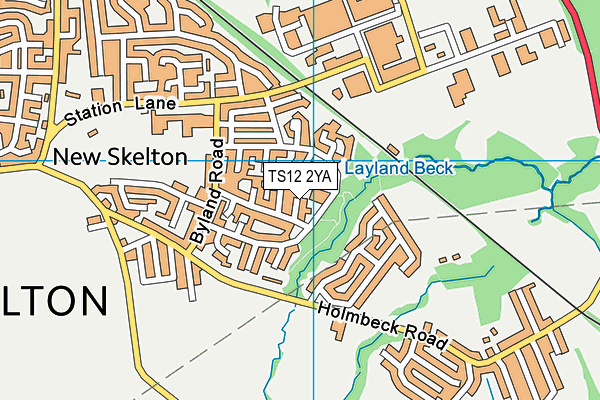 TS12 2YA map - OS VectorMap District (Ordnance Survey)