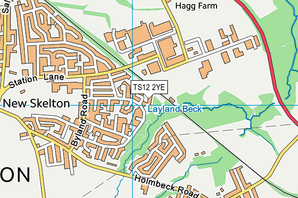 TS12 2YE map - OS VectorMap District (Ordnance Survey)