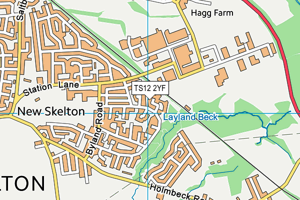 TS12 2YF map - OS VectorMap District (Ordnance Survey)