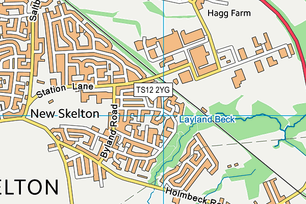 TS12 2YG map - OS VectorMap District (Ordnance Survey)