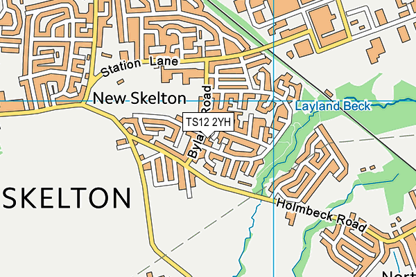 TS12 2YH map - OS VectorMap District (Ordnance Survey)