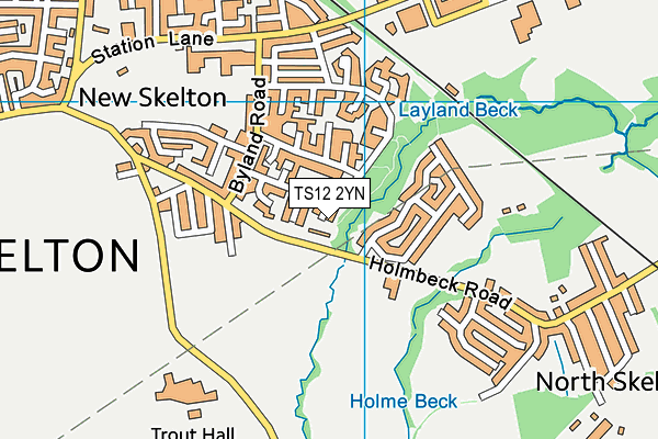 TS12 2YN map - OS VectorMap District (Ordnance Survey)