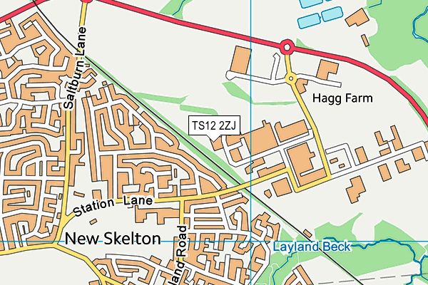 TS12 2ZJ map - OS VectorMap District (Ordnance Survey)