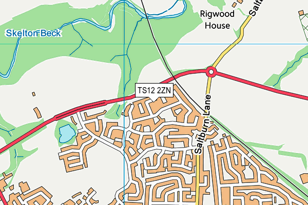 TS12 2ZN map - OS VectorMap District (Ordnance Survey)