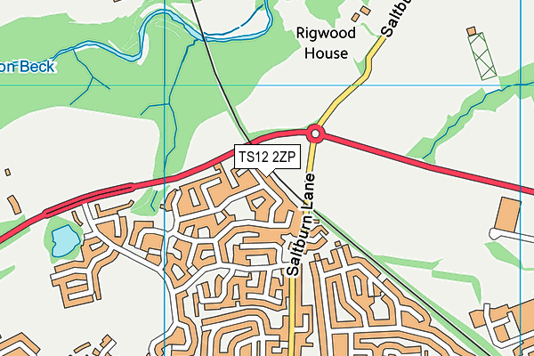 TS12 2ZP map - OS VectorMap District (Ordnance Survey)