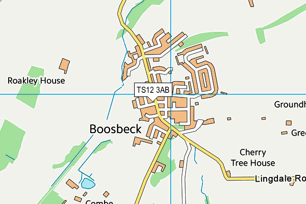TS12 3AB map - OS VectorMap District (Ordnance Survey)