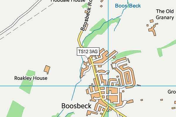 TS12 3AG map - OS VectorMap District (Ordnance Survey)