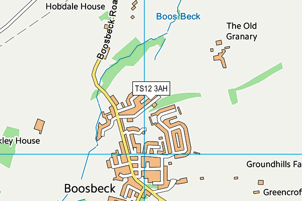 TS12 3AH map - OS VectorMap District (Ordnance Survey)